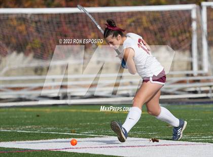 Thumbnail 1 in Carle Place vs Whitney Point (NYSPHSAA Class C Final) photogallery.