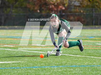 Thumbnail 3 in Carle Place vs Whitney Point (NYSPHSAA Class C Final) photogallery.