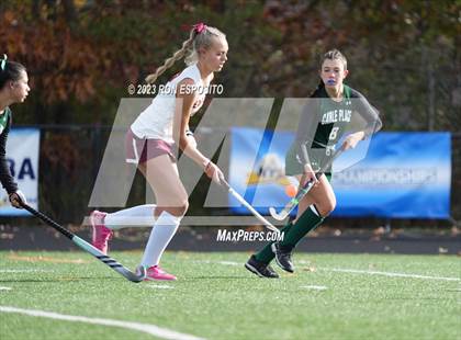 Thumbnail 1 in Carle Place vs Whitney Point (NYSPHSAA Class C Final) photogallery.