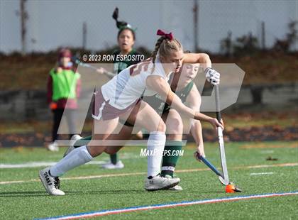 Thumbnail 1 in Carle Place vs Whitney Point (NYSPHSAA Class C Final) photogallery.