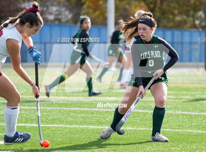 Thumbnail 3 in Carle Place vs Whitney Point (NYSPHSAA Class C Final) photogallery.