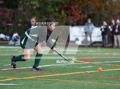 Thumbnail 1 in Carle Place vs Whitney Point (NYSPHSAA Class C Final) photogallery.
