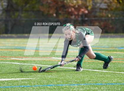 Thumbnail 3 in Carle Place vs Whitney Point (NYSPHSAA Class C Final) photogallery.