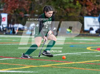 Thumbnail 3 in Carle Place vs Whitney Point (NYSPHSAA Class C Final) photogallery.