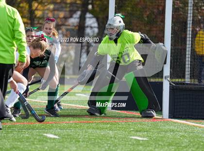 Thumbnail 1 in Carle Place vs Whitney Point (NYSPHSAA Class C Final) photogallery.