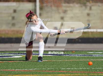 Thumbnail 2 in Carle Place vs Whitney Point (NYSPHSAA Class C Final) photogallery.