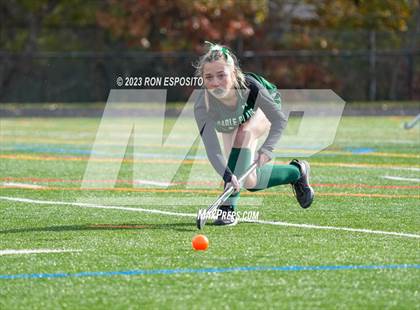 Thumbnail 1 in Carle Place vs Whitney Point (NYSPHSAA Class C Final) photogallery.