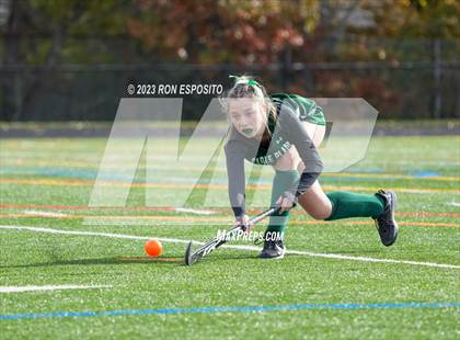 Thumbnail 1 in Carle Place vs Whitney Point (NYSPHSAA Class C Final) photogallery.