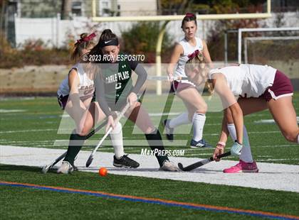 Thumbnail 3 in Carle Place vs Whitney Point (NYSPHSAA Class C Final) photogallery.