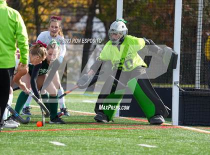 Thumbnail 3 in Carle Place vs Whitney Point (NYSPHSAA Class C Final) photogallery.