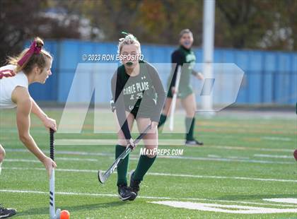 Thumbnail 1 in Carle Place vs Whitney Point (NYSPHSAA Class C Final) photogallery.