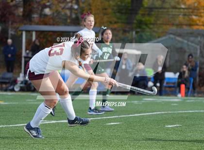 Thumbnail 1 in Carle Place vs Whitney Point (NYSPHSAA Class C Final) photogallery.