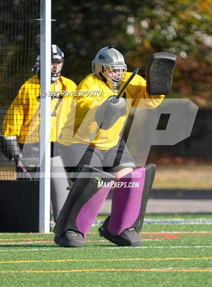 Thumbnail 2 in Carle Place vs Whitney Point (NYSPHSAA Class C Final) photogallery.