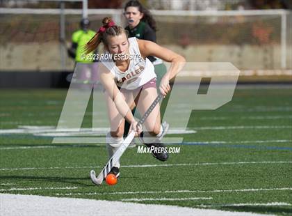 Thumbnail 1 in Carle Place vs Whitney Point (NYSPHSAA Class C Final) photogallery.