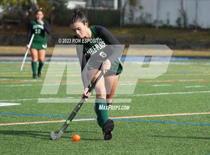 Thumbnail 1 in Carle Place vs Whitney Point (NYSPHSAA Class C Final) photogallery.