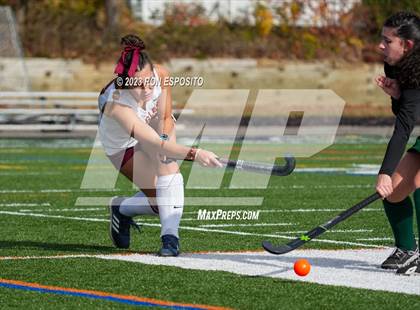 Thumbnail 1 in Carle Place vs Whitney Point (NYSPHSAA Class C Final) photogallery.