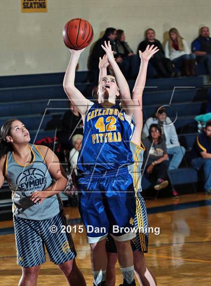 Thumbnail 1 in Gatlinburg-Pittman @ Seymour photogallery.