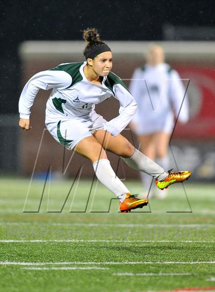 Thumbnail 2 in Marcellus vs. Oneonta (NYSPHSAA Class B Final) photogallery.