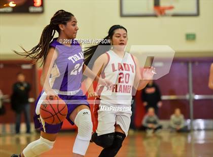 Thumbnail 2 in JV: Tokay @ Lodi photogallery.