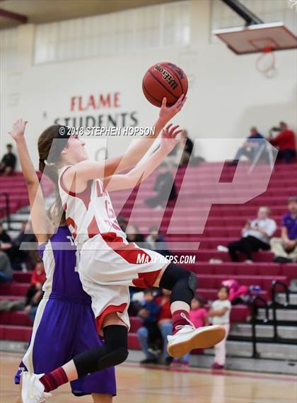 Thumbnail 1 in JV: Tokay @ Lodi photogallery.