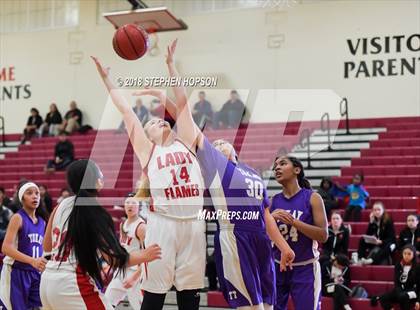 Thumbnail 1 in JV: Tokay @ Lodi photogallery.