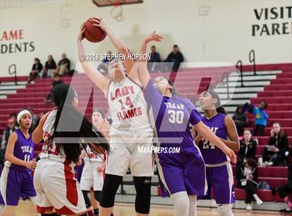 Thumbnail 2 in JV: Tokay @ Lodi photogallery.