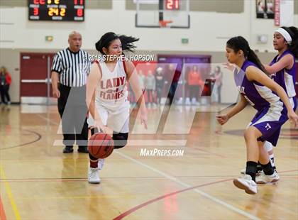 Thumbnail 2 in JV: Tokay @ Lodi photogallery.