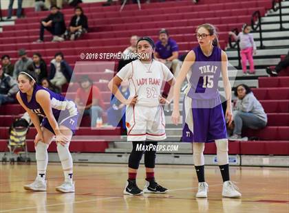 Thumbnail 1 in JV: Tokay @ Lodi photogallery.