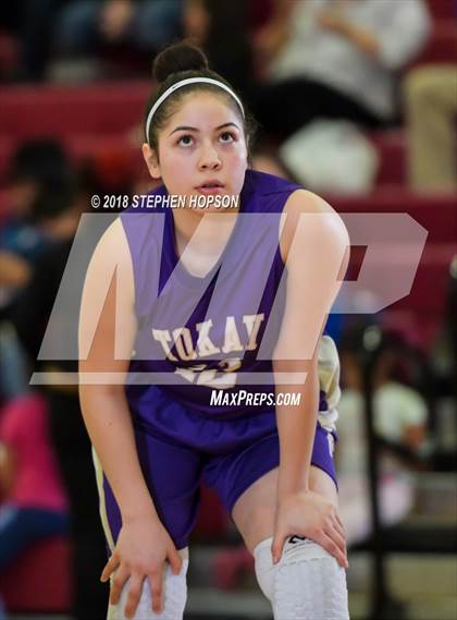 Thumbnail 1 in JV: Tokay @ Lodi photogallery.