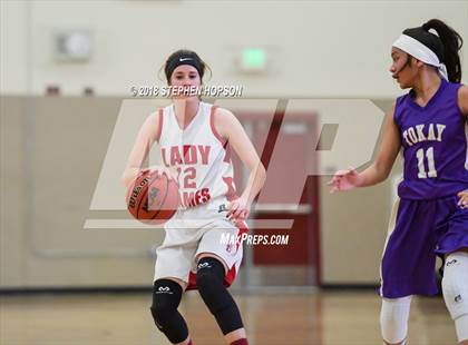 Thumbnail 3 in JV: Tokay @ Lodi photogallery.