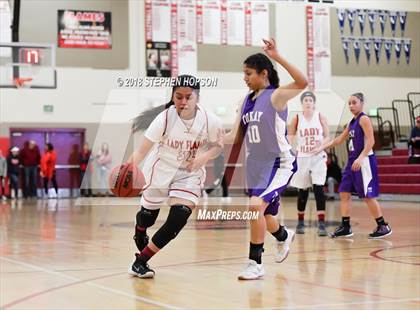 Thumbnail 1 in JV: Tokay @ Lodi photogallery.