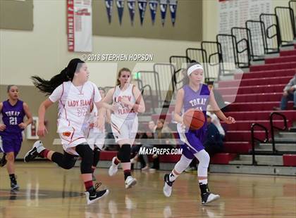 Thumbnail 3 in JV: Tokay @ Lodi photogallery.