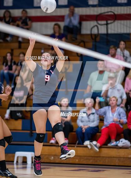 Thumbnail 2 in Western Harnett @ Terry Sanford photogallery.