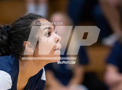 Thumbnail 1 in Western Harnett @ Terry Sanford photogallery.