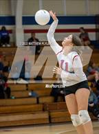 Photo from the gallery "Western Harnett @ Terry Sanford"