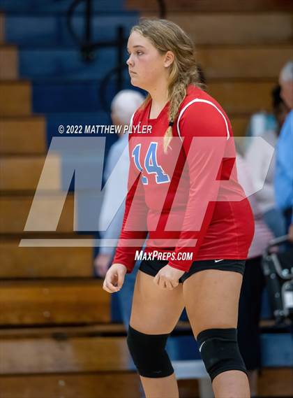 Thumbnail 3 in Western Harnett @ Terry Sanford photogallery.