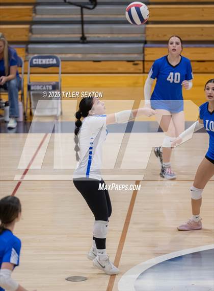 Thumbnail 3 in Buena @ Cienega photogallery.
