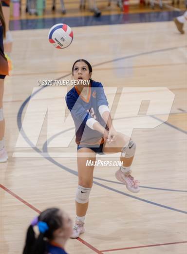 null - Photo 01