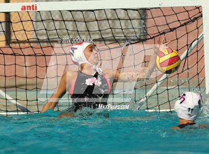 Thumbnail 3 in Rodriguez vs Washington (Julian Szmidt Memorial Tournament) photogallery.