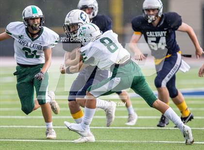 Thumbnail 3 in Tampa Catholic @ Calvary Christian photogallery.