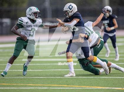 Thumbnail 2 in Tampa Catholic @ Calvary Christian photogallery.