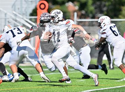 Thumbnail 2 in Ellet @ Buchtel photogallery.