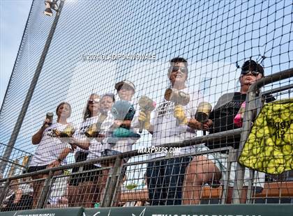 Thumbnail 1 in Neches vs. Jonesboro (UIL 1A Softball Final) photogallery.