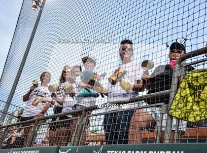 Thumbnail 3 in Neches vs. Jonesboro (UIL 1A Softball Final) photogallery.