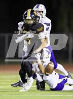 Photo from the gallery "North Canyon @ Maryvale"