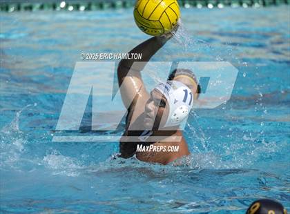 Thumbnail 2 in Montebello @ Cabrillo photogallery.