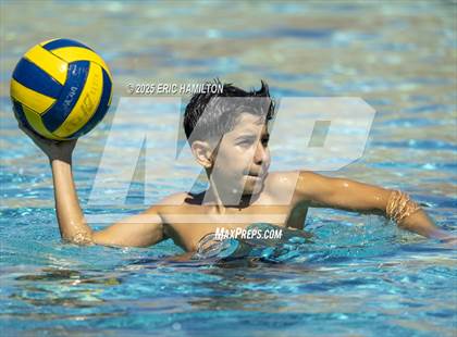 Thumbnail 3 in Montebello @ Cabrillo photogallery.