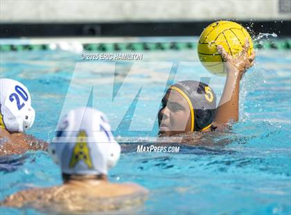 Thumbnail 2 in Montebello @ Cabrillo photogallery.