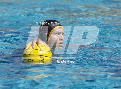 Thumbnail 3 in Montebello @ Cabrillo photogallery.