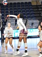 Photo from the gallery "Lamar @ Heights"